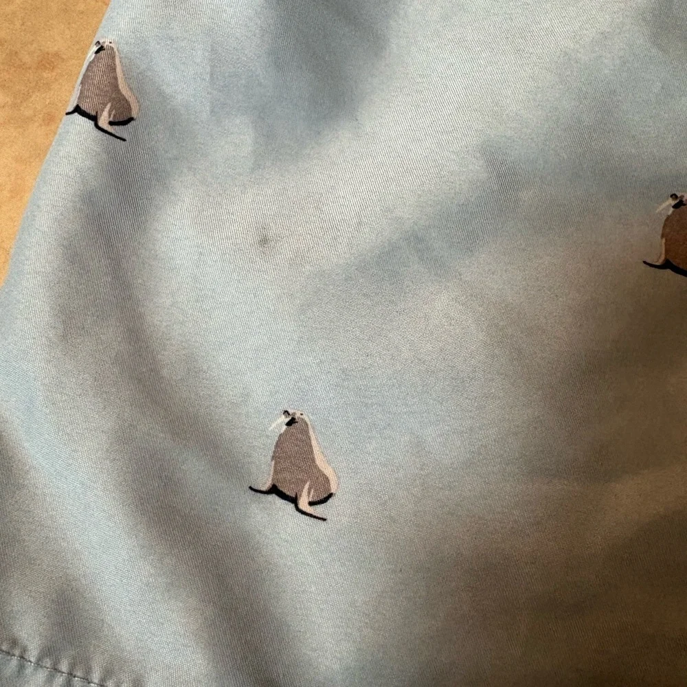 ⭐️ H&M Light Blue Swim Shorts ⭐️ - Picture 5 of 9